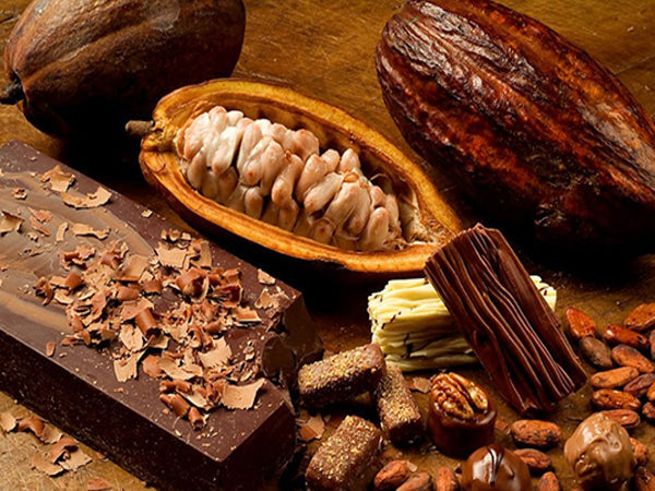 Nutritional Components of Pure Organic Cacao Powder